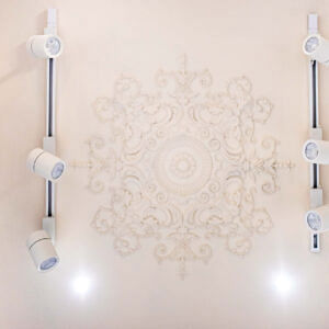 Ceiling Rose D1812