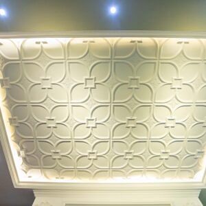 Ceiling Panels
