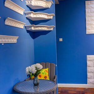 Gypsum-Products-in-Showroom-Jardin-Classics