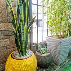 Planter