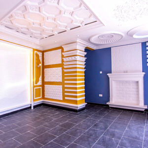 Ceiling Panels