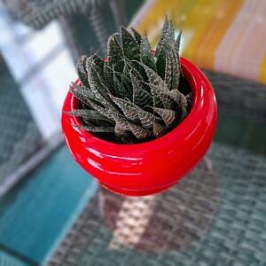 Fiberglass planter