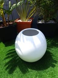 Rounded medium high